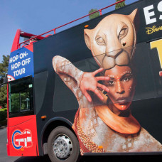 SERIE CF-PROMO | FILM PVC POLYMÈRE BLANC / DOS NOIR - 160µ