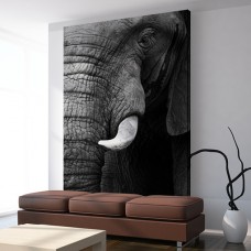 RI-JET DECOWALL MONOMERE 100µ 1370MM